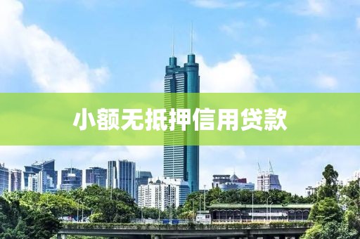 小额无抵押信用贷款