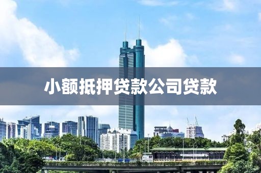 小额抵押贷款公司贷款