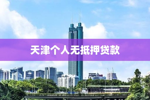 天津个人无抵押贷款