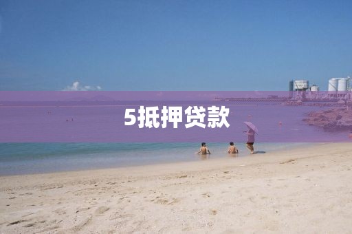 5抵押贷款