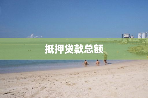 抵押贷款总额
