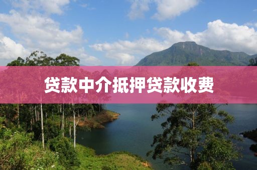 贷款中介抵押贷款收费