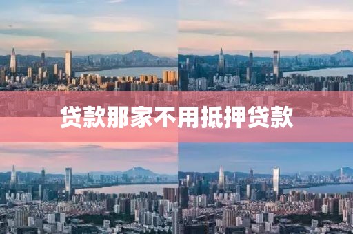 贷款那家不用抵押贷款