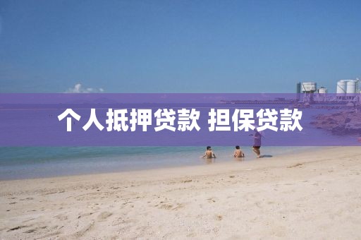 个人抵押贷款 担保贷款