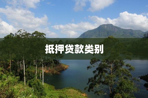 抵押贷款类别