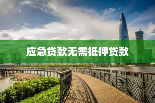 应急贷款无需抵押贷款
