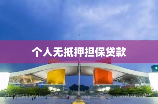 个人无抵押担保贷款