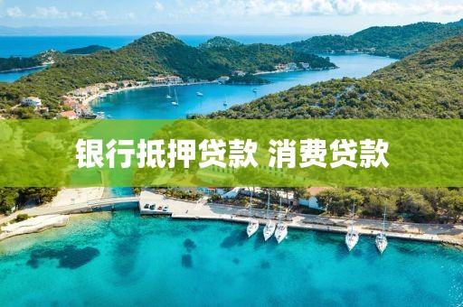 银行抵押贷款 消费贷款