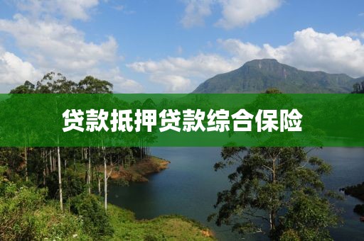 贷款抵押贷款综合保险