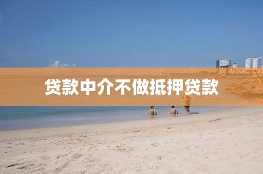 贷款中介不做抵押贷款