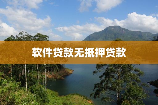 软件贷款无抵押贷款