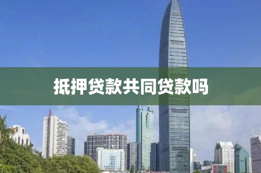 抵押贷款共同贷款吗