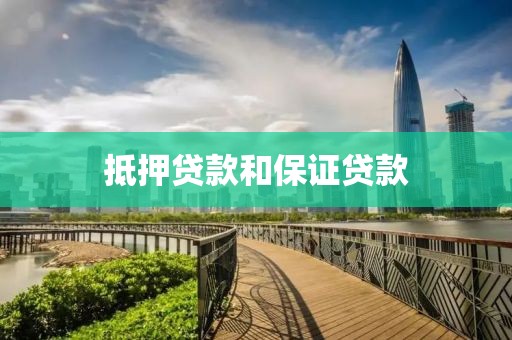 抵押贷款和保证贷款