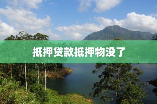 抵押贷款抵押物没了
