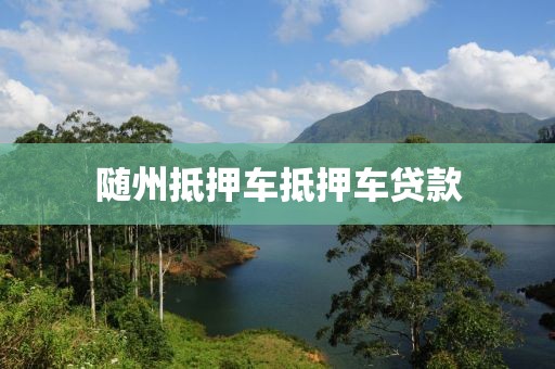 随州抵押车抵押车贷款