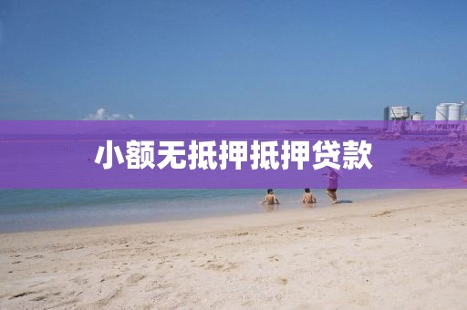 小额无抵押抵押贷款