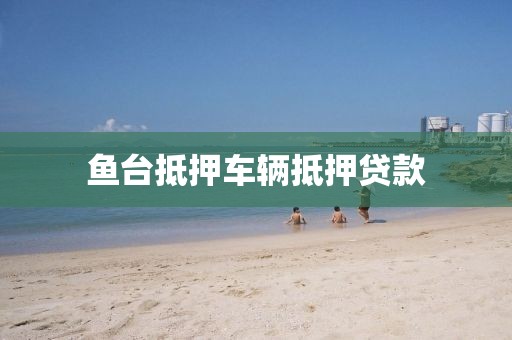 鱼台抵押车辆抵押贷款