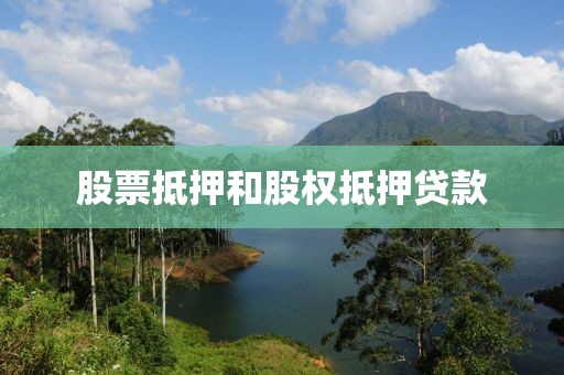 股票抵押和股权抵押贷款