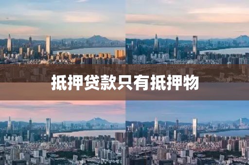 抵押贷款只有抵押物