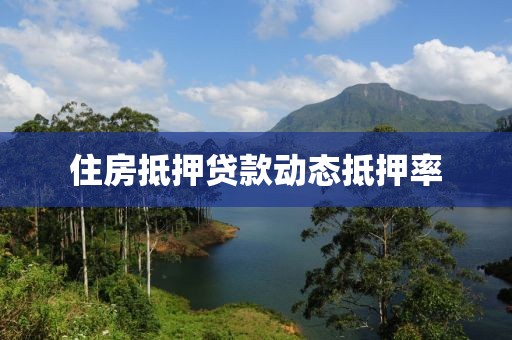 住房抵押贷款动态抵押率