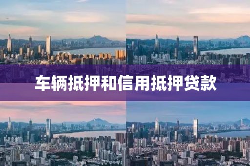 车辆抵押和信用抵押贷款