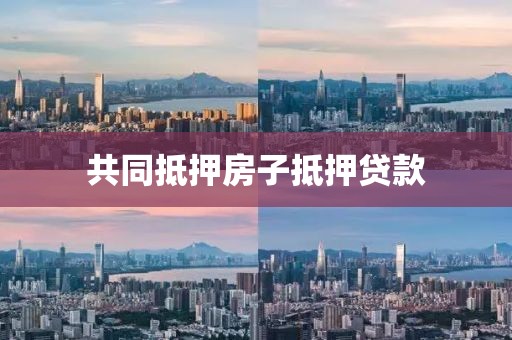 共同抵押房子抵押贷款
