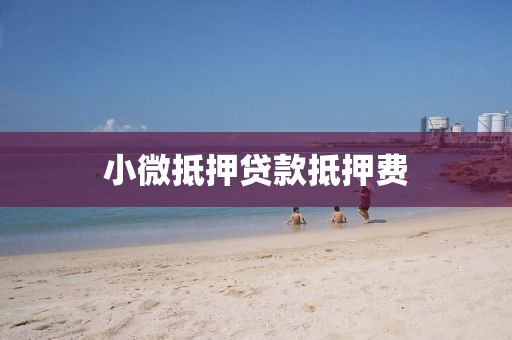 小微抵押贷款抵押费