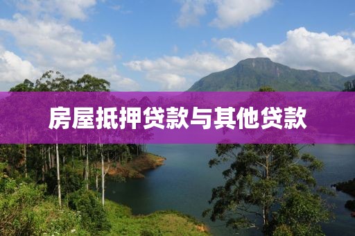 房屋抵押贷款与其他贷款