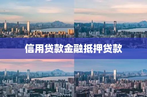 信用贷款金融抵押贷款