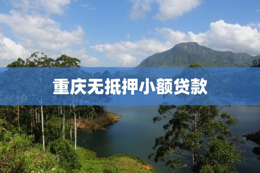 重庆无抵押小额贷款