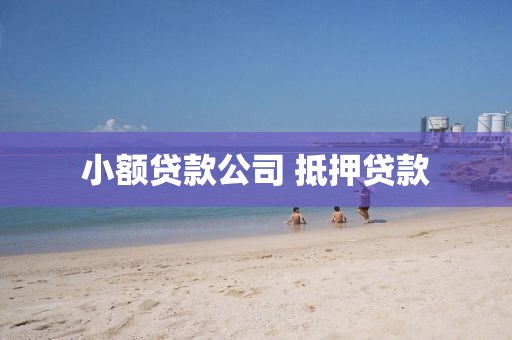 小额贷款公司 抵押贷款