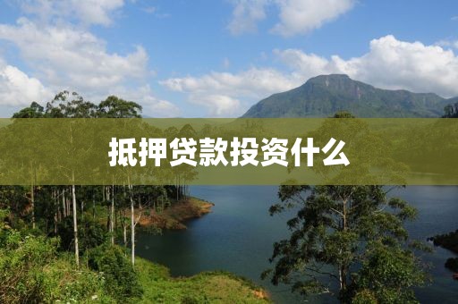 抵押贷款投资什么