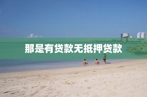 那是有贷款无抵押贷款