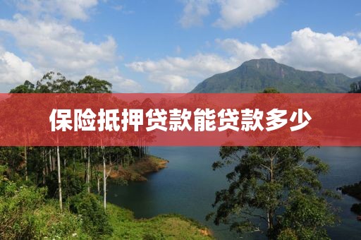保险抵押贷款能贷款多少