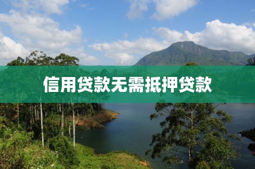 信用贷款无需抵押贷款