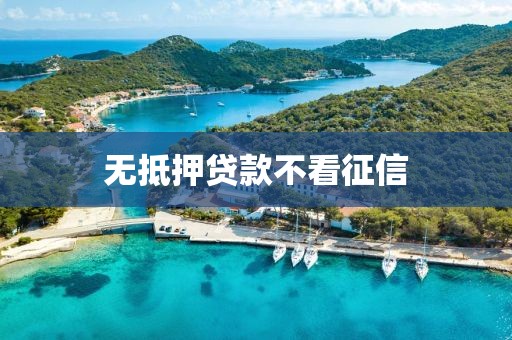 无抵押贷款不看征信