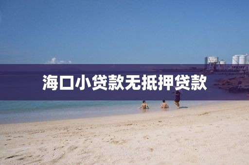 海口小贷款无抵押贷款