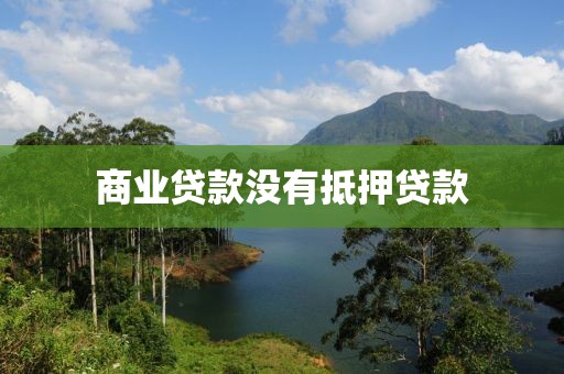 商业贷款没有抵押贷款