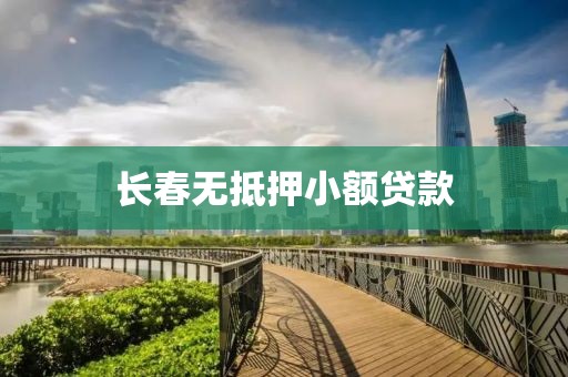 长春无抵押小额贷款