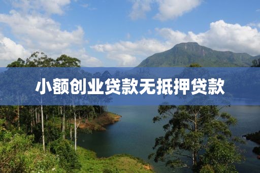 小额创业贷款无抵押贷款