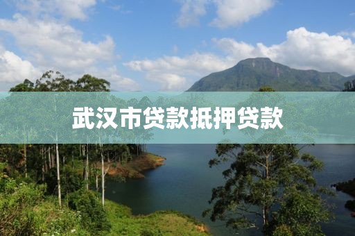 武汉市贷款抵押贷款