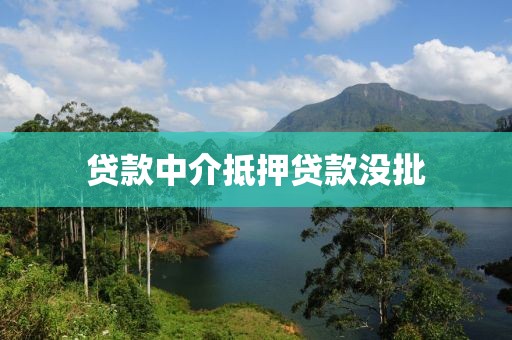 贷款中介抵押贷款没批