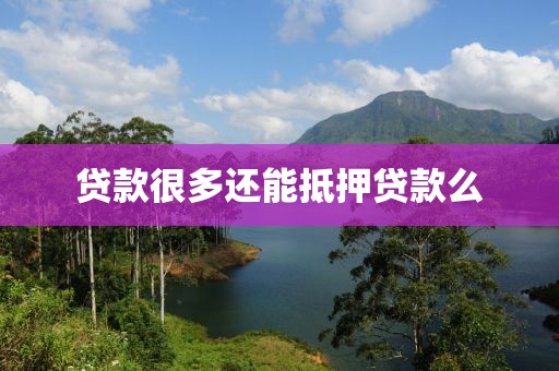 贷款很多还能抵押贷款么