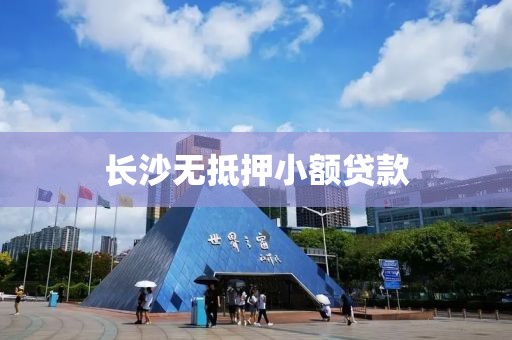 长沙无抵押小额贷款