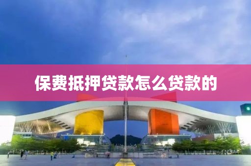 保费抵押贷款怎么贷款的