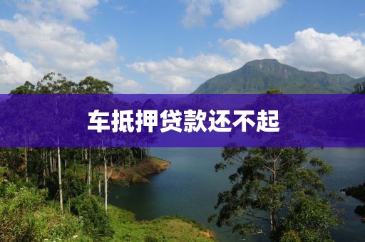 车抵押贷款还不起