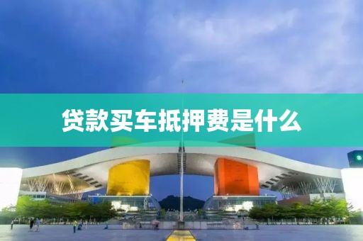 贷款买车抵押费是什么