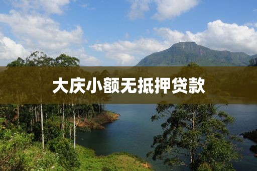 大庆小额无抵押贷款