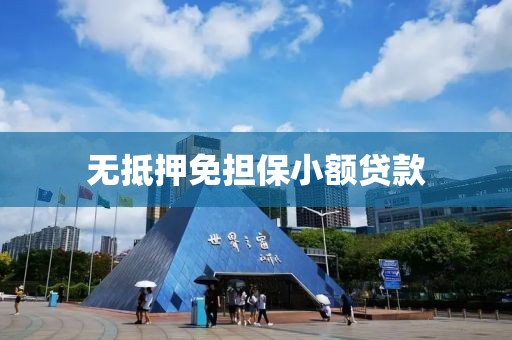 无抵押免担保小额贷款
