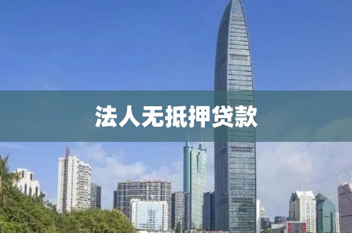 法人无抵押贷款